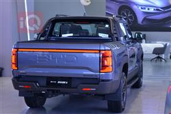 بي واي دي شارك 6